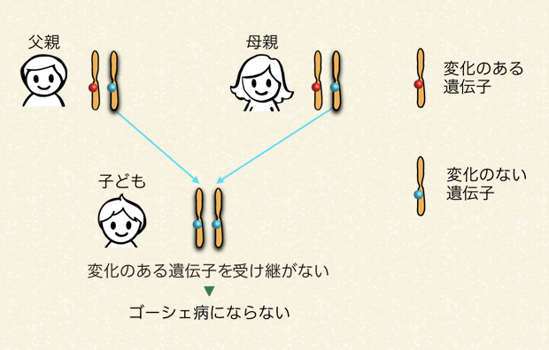 両親から変化のある遺伝子を受け継がない場合（25％の確率）