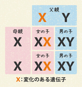 図5 父親が「変化のある遺伝子」をもっている場合 図5 父親が「変化のある遺伝子」をもっている場合