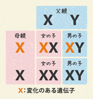 図4 母親が「変化のある遺伝子」を1本もっている場合 図4 母親が「変化のある遺伝子」を1本もっている場合