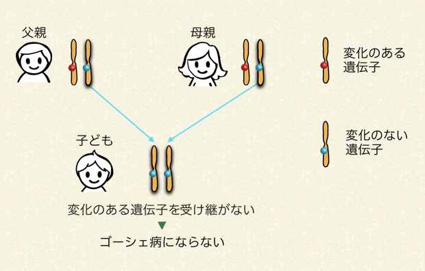 遺伝子 第6版 ゴーシェ病の遺伝子の変化とその伝わり方｜ライソゾーム病サイト