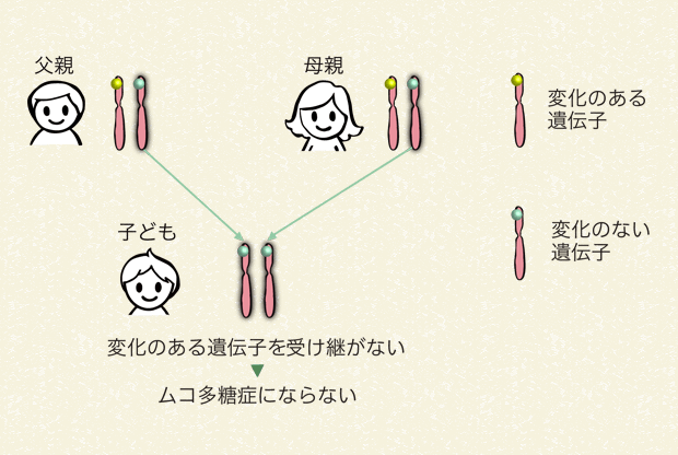 ムコ多糖です。 長男・二男ともに平均寿命16歳の難病、ムコ多糖症II型と診断され