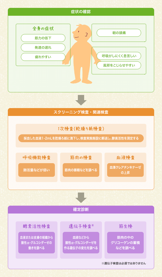 ポンペ病はどのように診断されますか ポンペ病 ライソゾーム病サイト ライソライフ